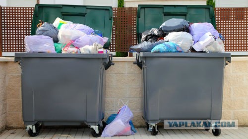 Елена Воробей попросила дать артистам льготы на продукты, в связи с эпидемией коронавирусной инфекции