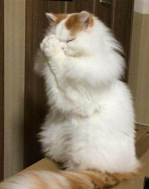 Маленькие женщины созданы для любви, большие для работы