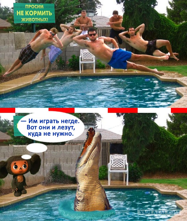 Фотожаба: Позируем креативно