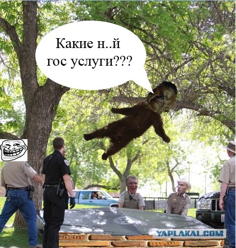 Мишка летун!