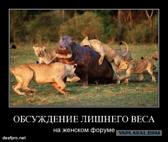 Что  радует мужчину по жизни? После 40