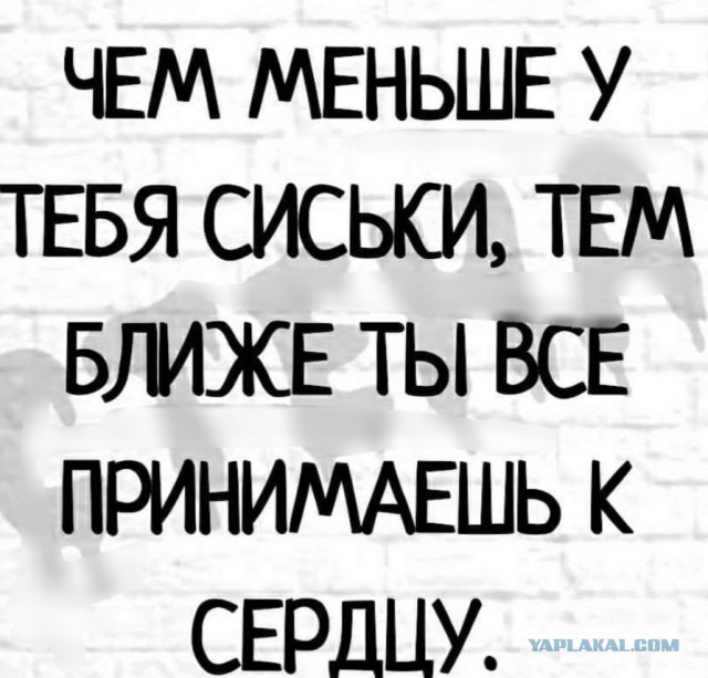 Бредзона 02.02.21