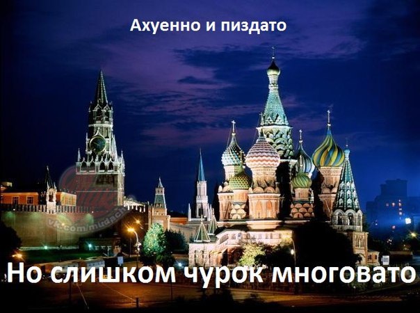Картинки разные 12.02.21