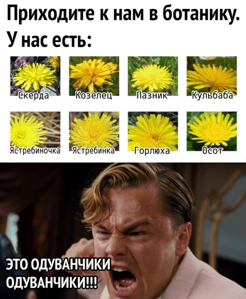 Алкопост 27.03.21