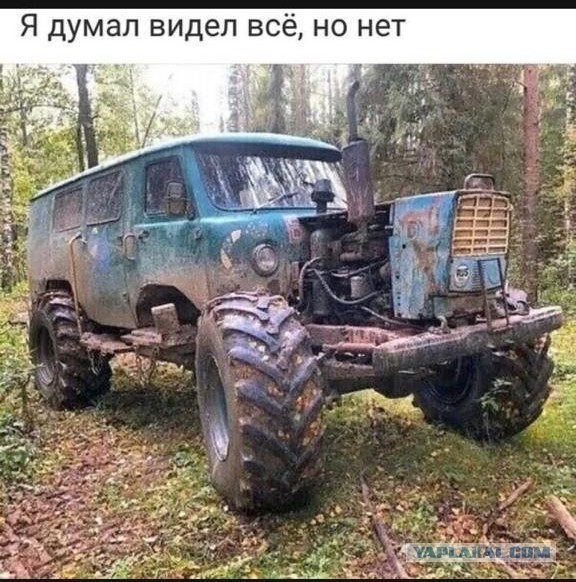 Так себе картинки 28.03.21