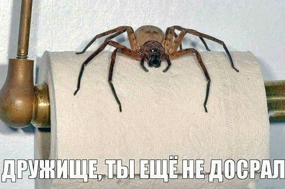 Так себе картинки 15.08.21