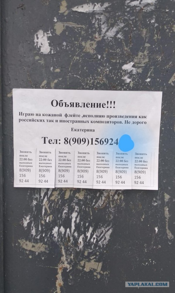 Юмор в картинках 4.09.21