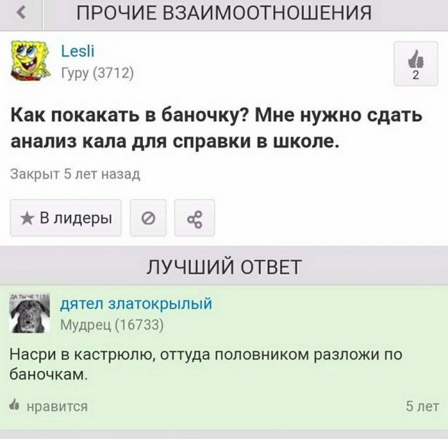 Картинки и мемы для настроения 09.06.2021