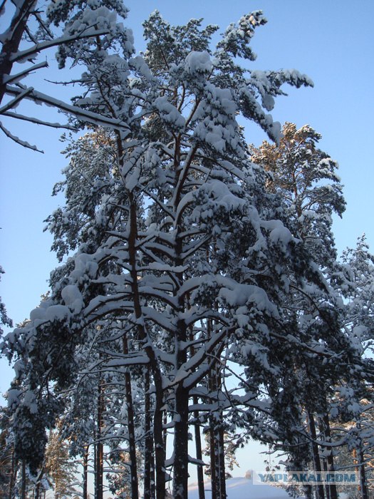 Зима в Выборге