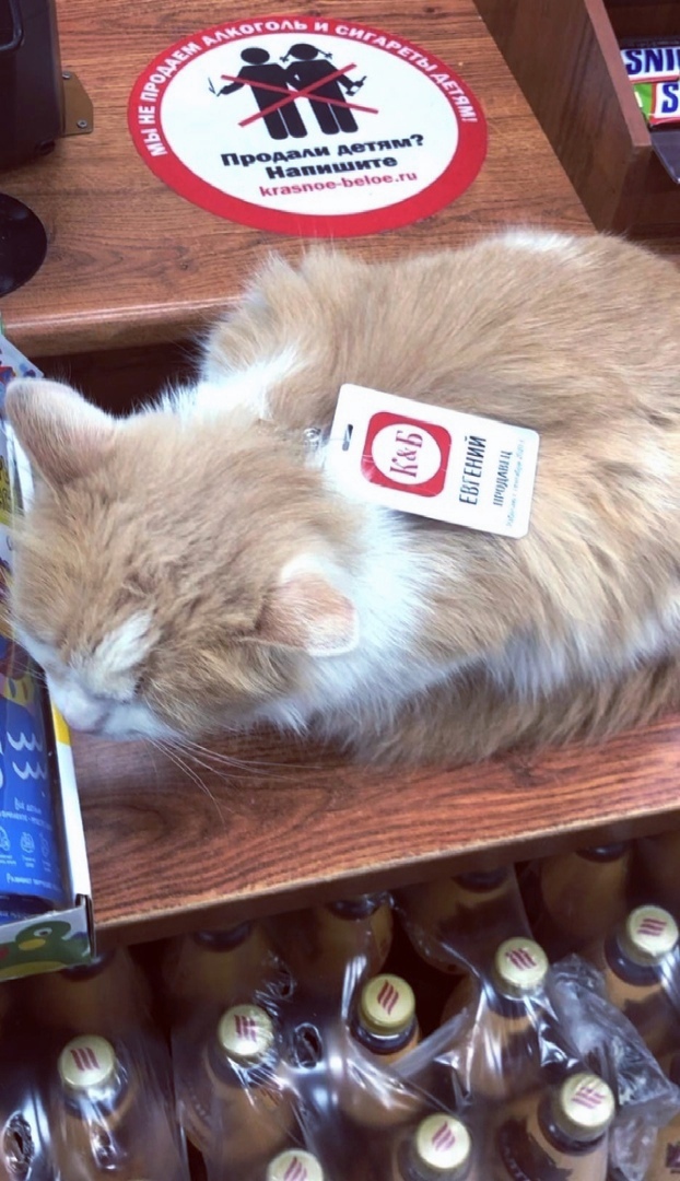 Картинки аморальные и всякие разные - 19