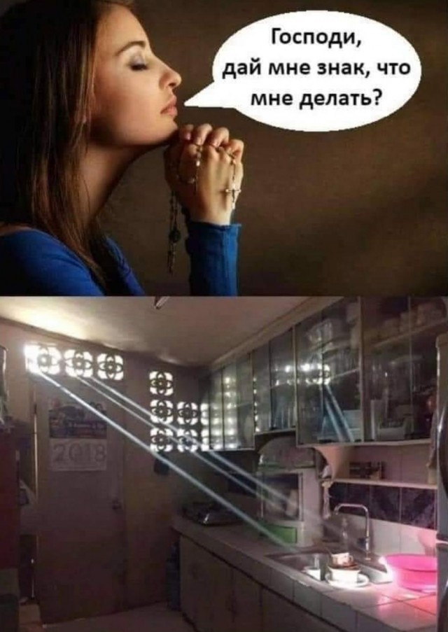 16642657.jpg