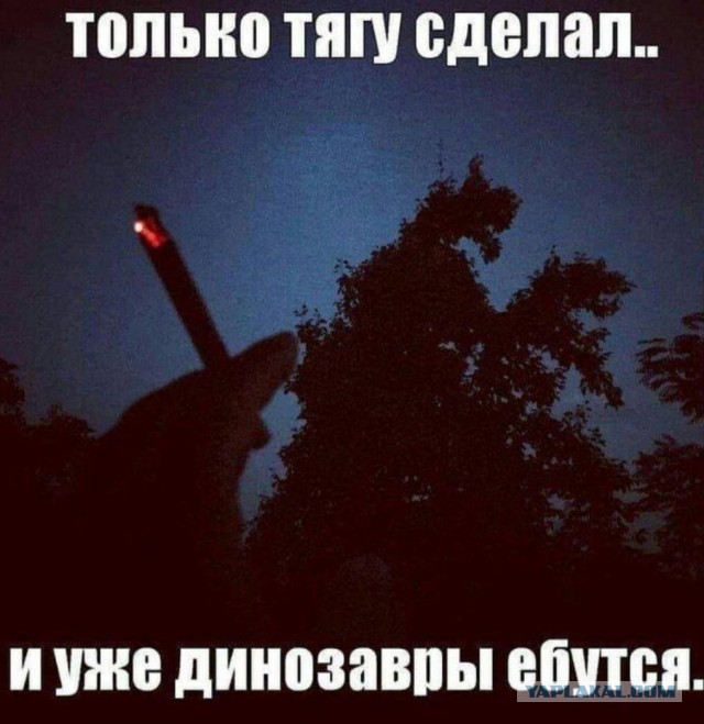 Весёлый полтишок 31.05.22