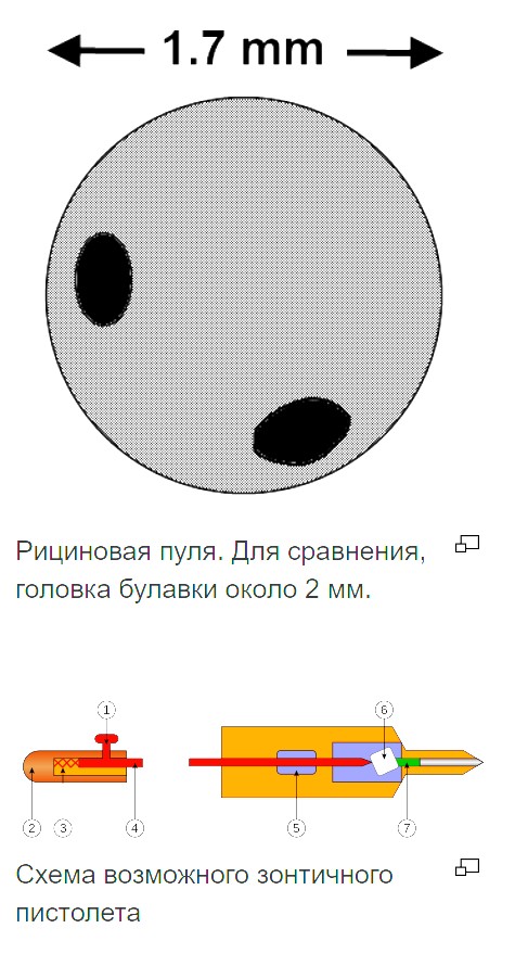 7 самых опасных растений мира