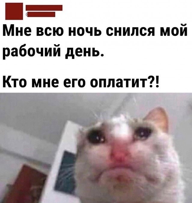 Весёлый полтишок 10.11.22