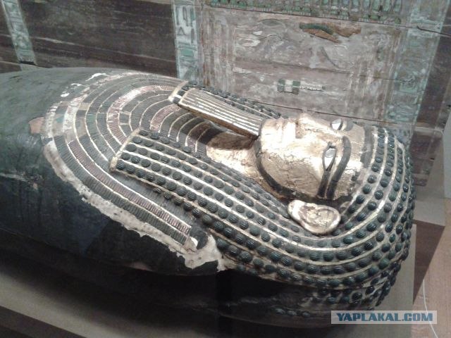 Америка для начинающих