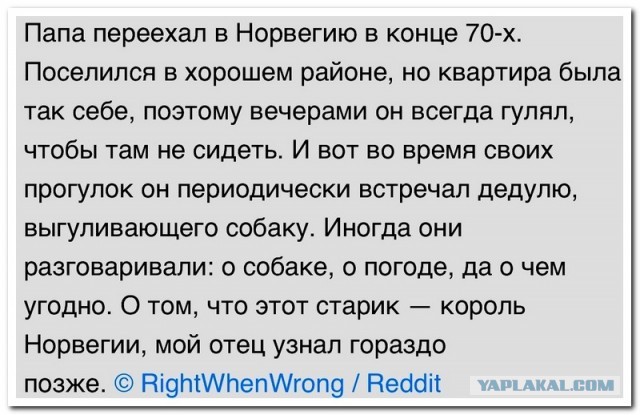 Забавные комментарии из социальных сетей (06.03.23)