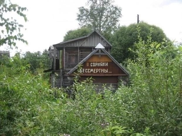 Картинок пост 2