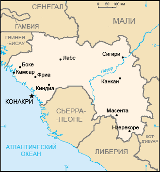 Отряд быстрого деградирования