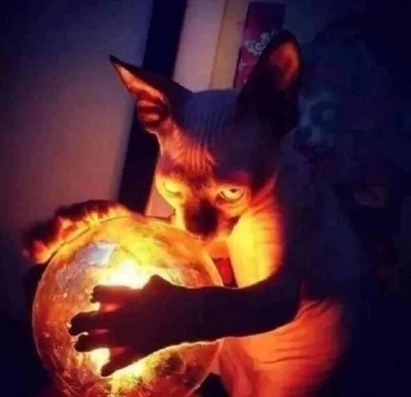 Крутые номера