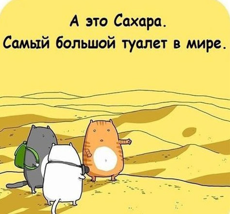 Так себе картинки 16.10.24