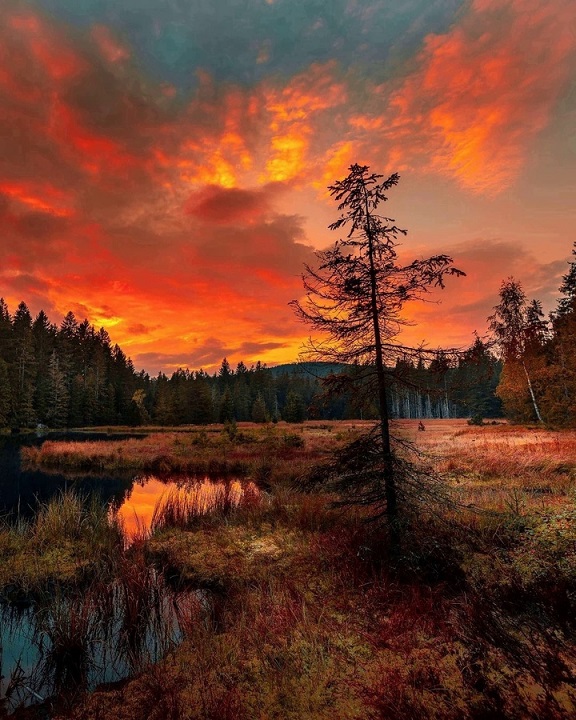 У рубля нет курса