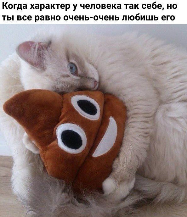 К котовторнику: подборка картинок-баянов с котиками и про котиков. Выпуск 5