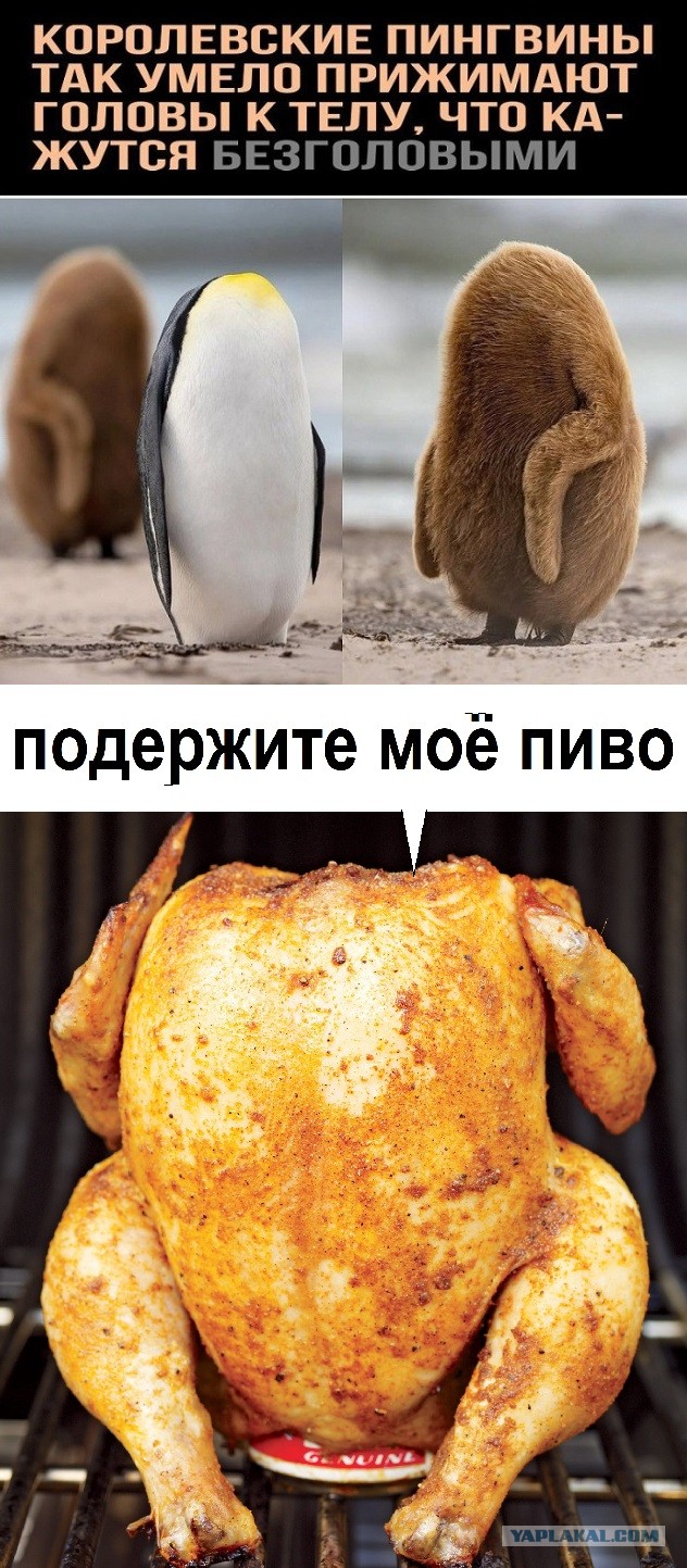 Картинки разные с надписями и без