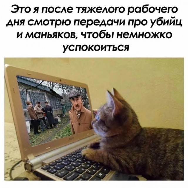 К котовторнику: подборка картинок-баянов с котиками и про котиков. Выпуск 8
