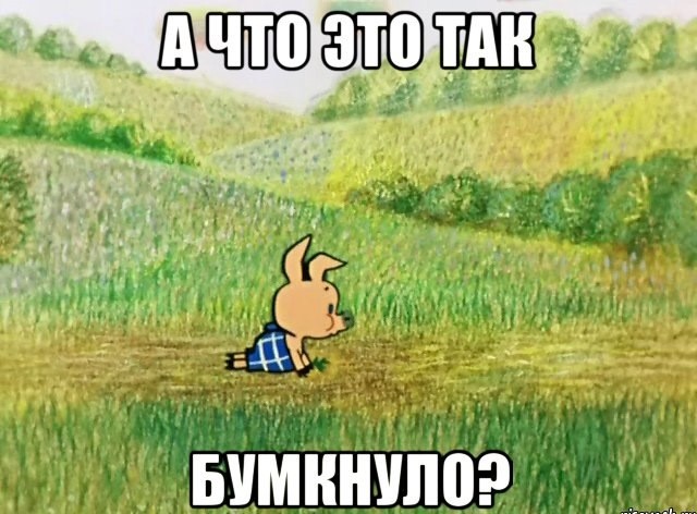 Разбудили свинюшек