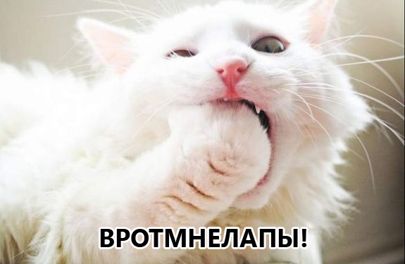 Большая подборка баянов разной степени свежести