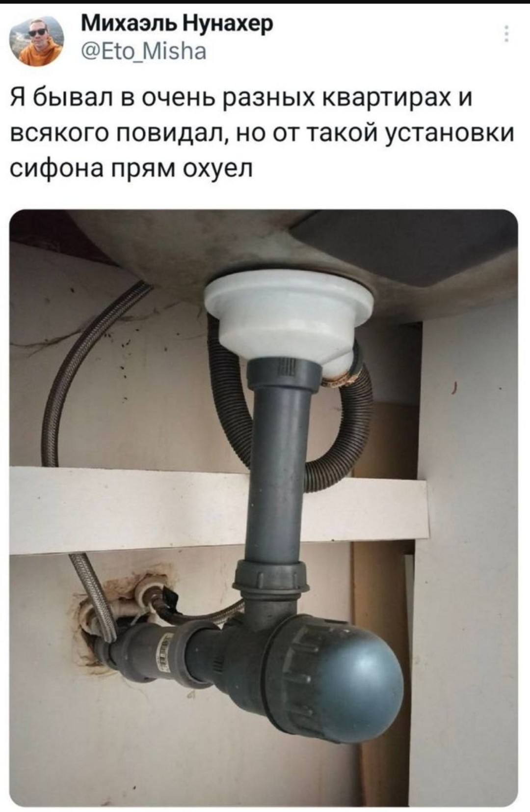 20237657.jpg