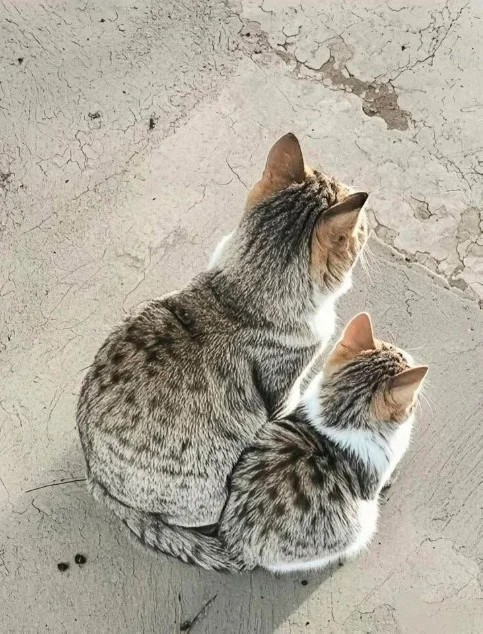 Прикольные и просто красивые картинки 18.11.2025