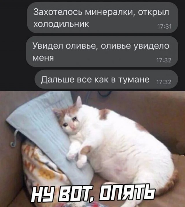 К котовторнику: подборка картинок-баянов с котиками и про котиков. Выпуск 27.