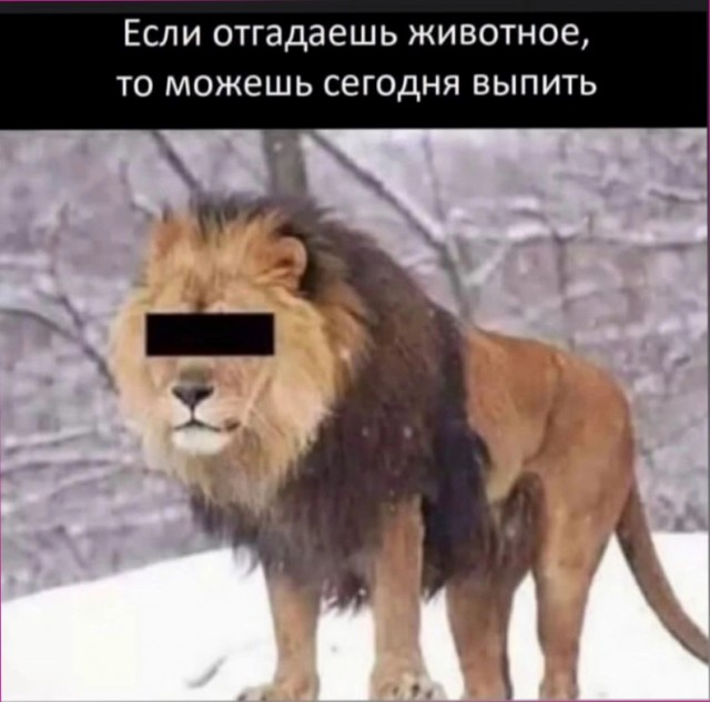 Пятничный бухопоезд