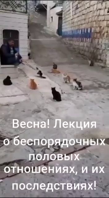 Забавные и не очень скромные картинки - 28