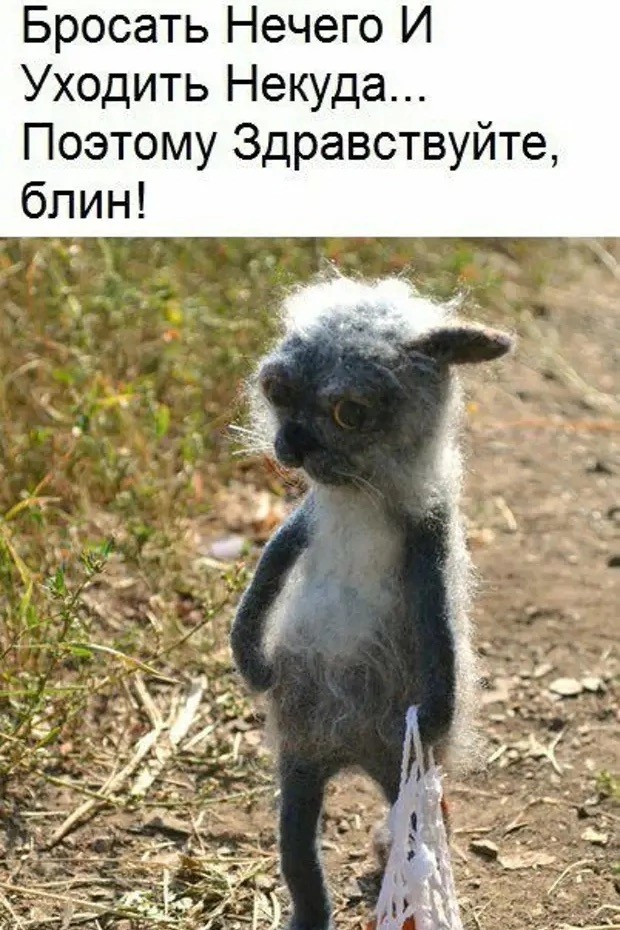 Субботние картинки
