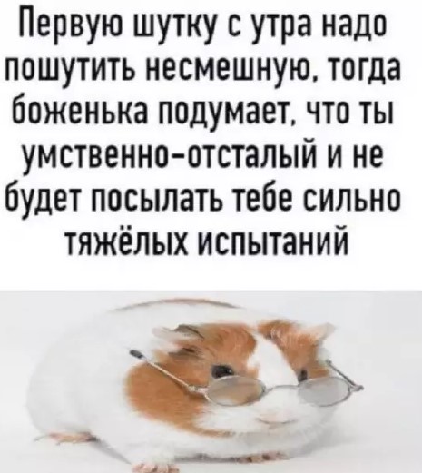 Картиночки, баянчики 24 марта