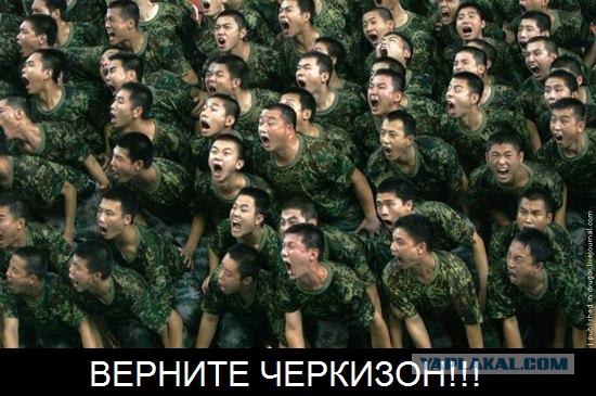 Жрааать! Дайте жрааать!