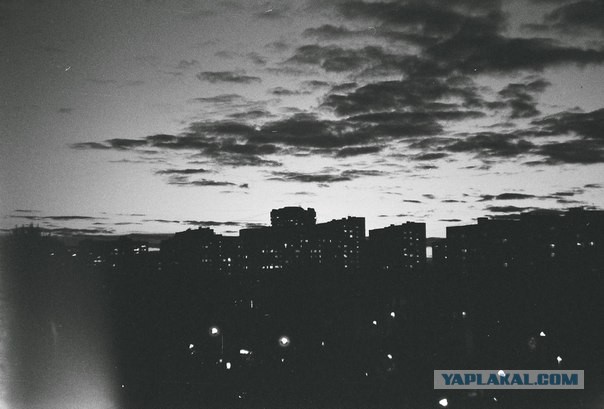 Россия, 1993 год