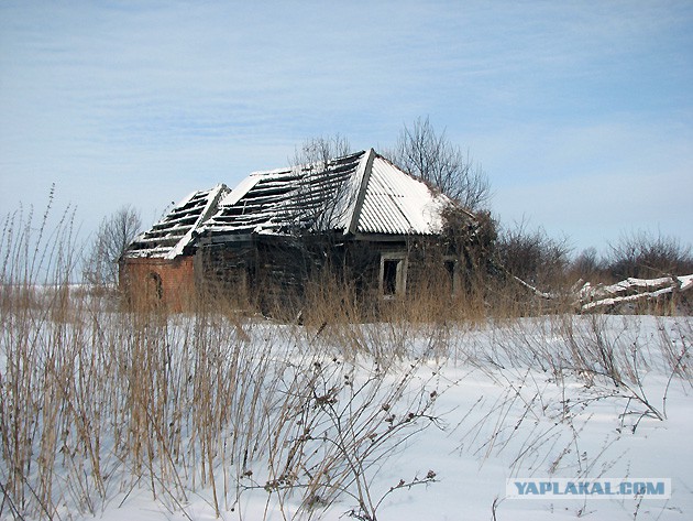 Дома Русского Севера