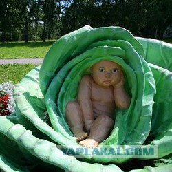 Необычные памятники