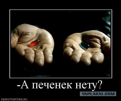 Всеобщая мобилизация