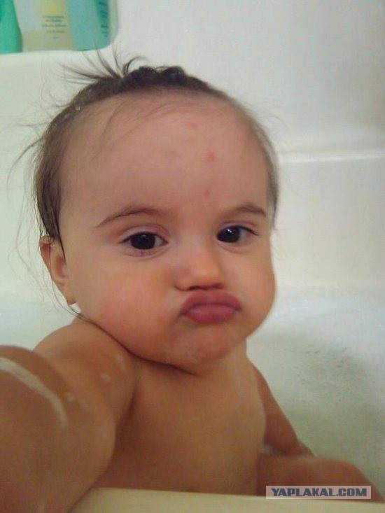 Подборка прикольных фото на начало мая