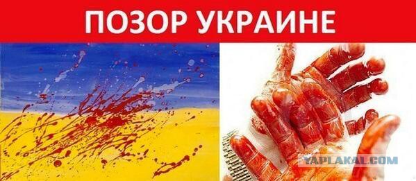 В Донецке разграбили магазин METRO