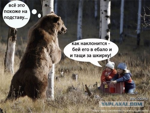 А как Вы воспитываете своего медведя?