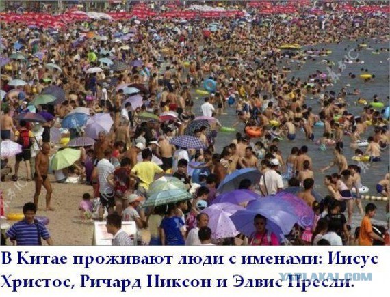 Факты в картинках