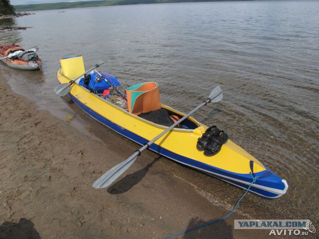 Поездка с собакой, на море, дикарями (Краснодар)