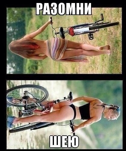 Смешные картинки