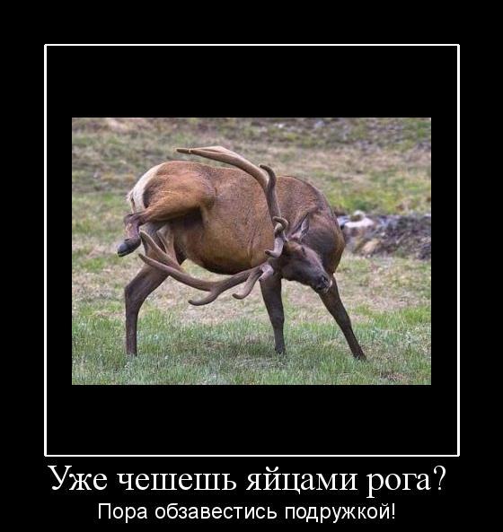 Настало время серьезного разговора с котом
