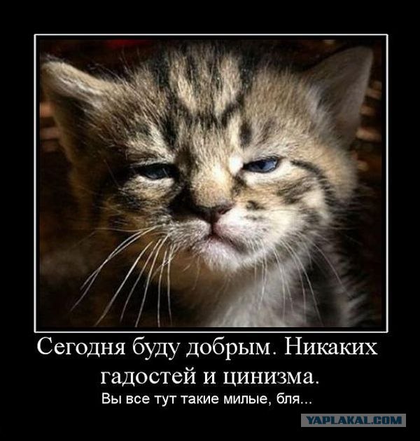 Мотоциклист на огромной скорости сбил ребенка!